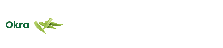 Alt Image Text