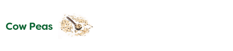Alt Image Text
