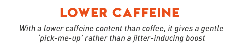 Alt Image Text