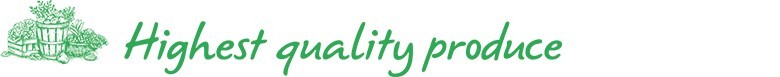 Alt Image Text
