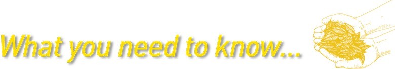 Alt Image Text